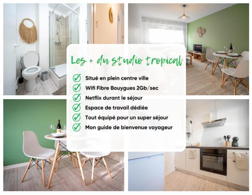 Le Studio Tropical Chalon-sur-Saone Exterior photo